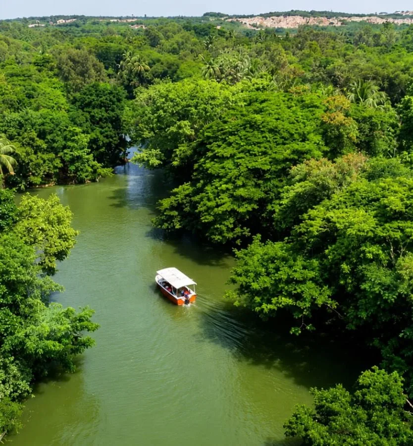 A river winding through green mining-affected landscape